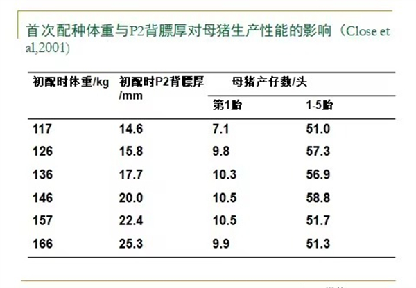 母猪限制饲养 —— 被错误理解的技术措施