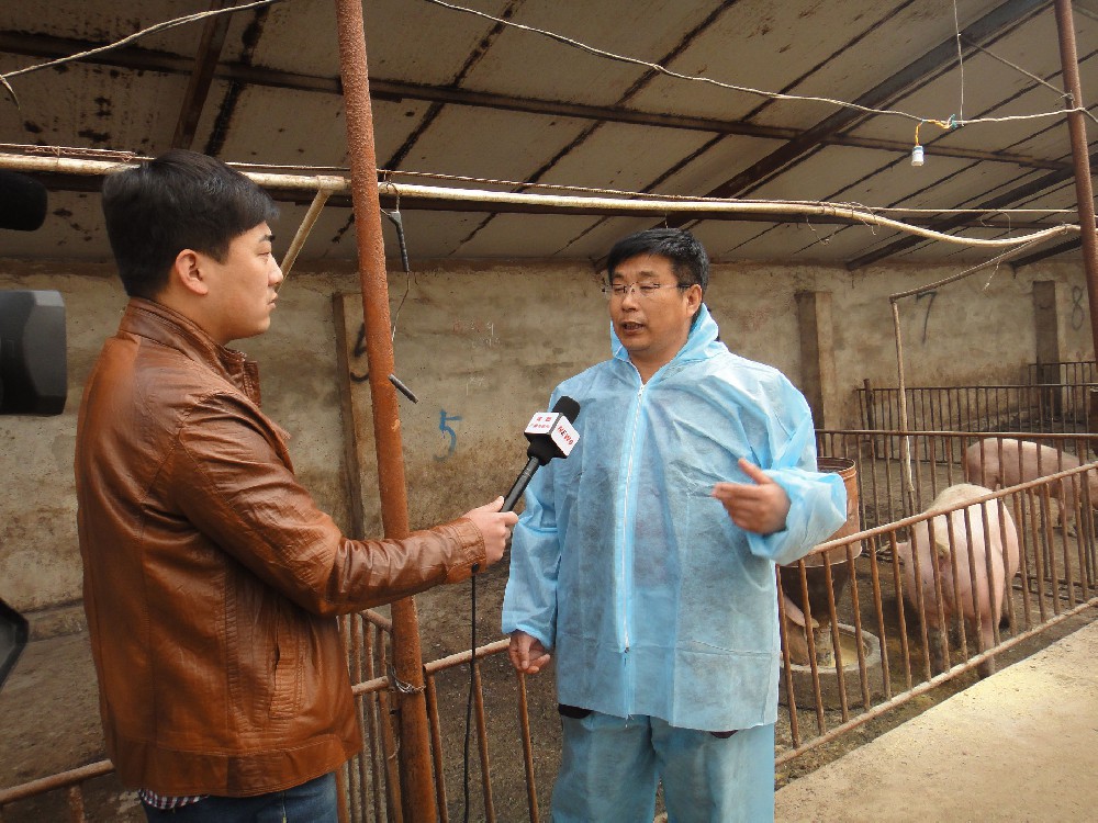 执业兽医资格证 vs 兽医技术职称：别再傻傻分不清！